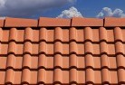 Evanstonroof-conversions-4.jpg; ?>